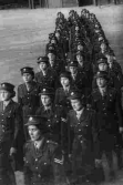 On the March