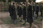 On Parade